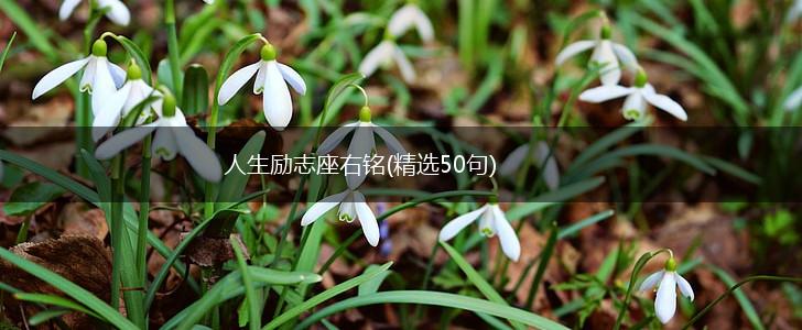 人生励志座右铭(精选50句),第1张