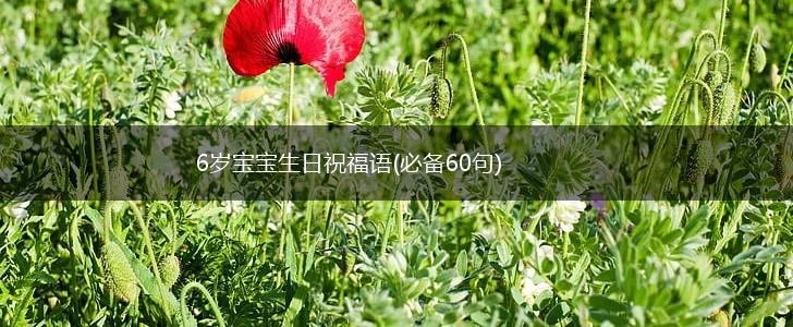 6岁宝宝生日祝福语(必备60句),第1张