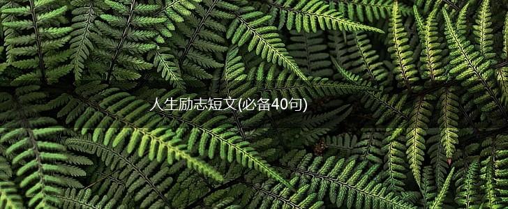 人生励志短文(必备40句),第1张
