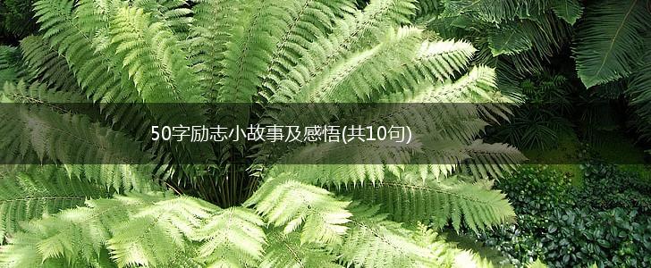 50字励志小故事及感悟(共10句),第1张