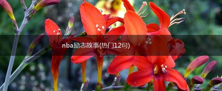 nba励志故事(热门12句),第1张