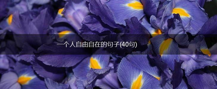 一个人自由自在的句子(40句),第1张