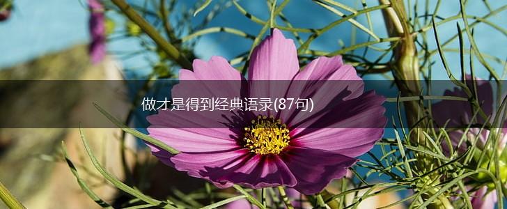 做才是得到经典语录(87句),第1张