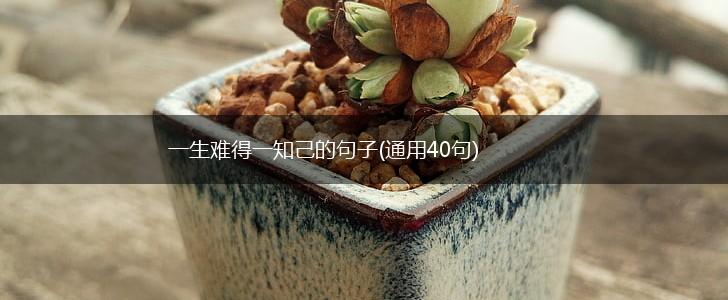 一生难得一知己的句子(通用40句),第1张