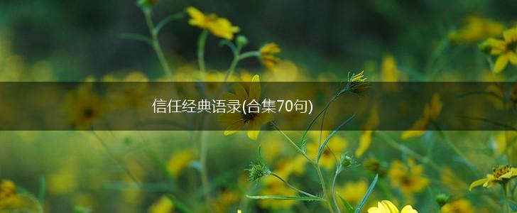 信任经典语录(合集70句),第1张