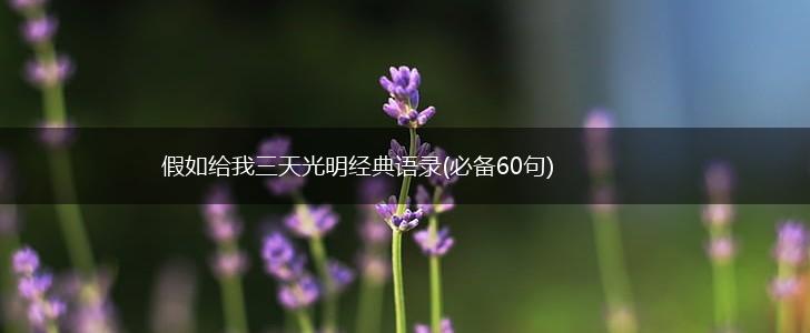假如给我三天光明经典语录(必备60句),第1张