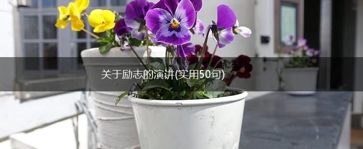 关于励志的演讲(实用50句),第1张