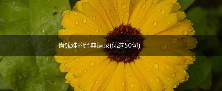 借钱难的经典语录(优选50句),第1张