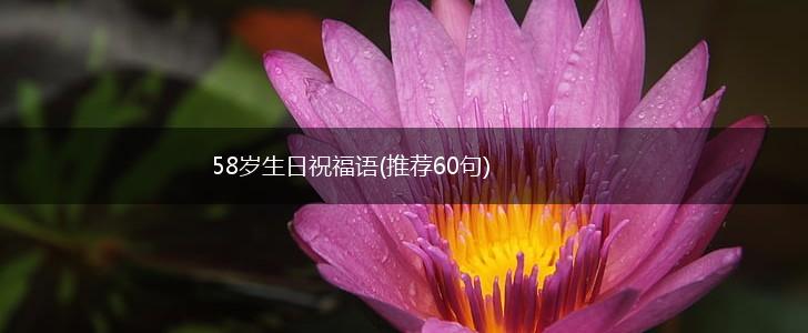 58岁生日祝福语(推荐60句),第1张
