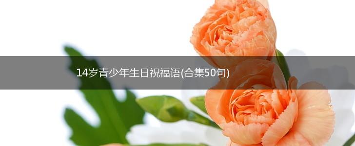 14岁青少年生日祝福语(合集50句),第1张