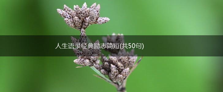 人生语录经典励志简短(共50句),第1张