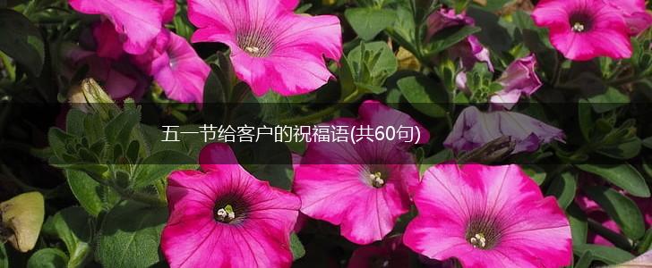 五一节给客户的祝福语(共60句),第1张
