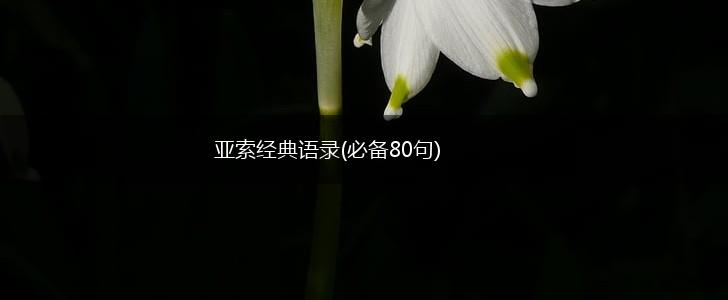 亚索经典语录(必备80句),第1张