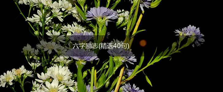 六字励志(精选40句),第1张
