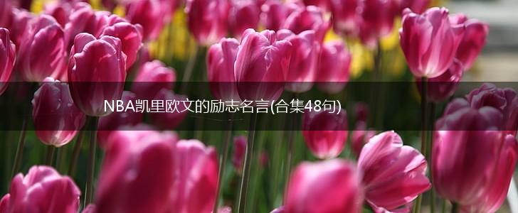 NBA凯里欧文的励志名言(合集48句),第1张