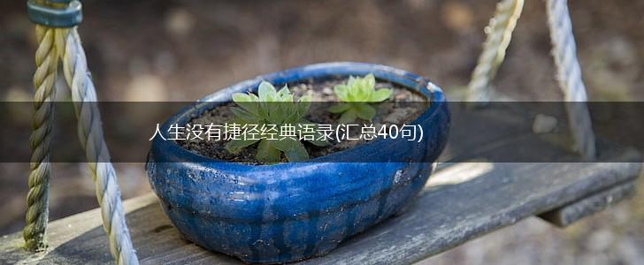 人生没有捷径经典语录(汇总40句),第1张