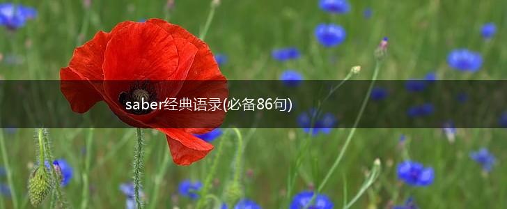 saber经典语录(必备86句),第1张