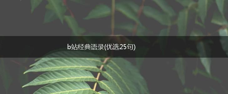 b站经典语录(优选25句),第1张