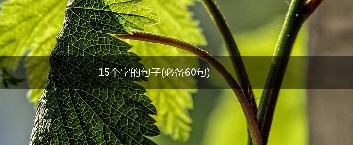 15个字的句子(必备60句),第1张