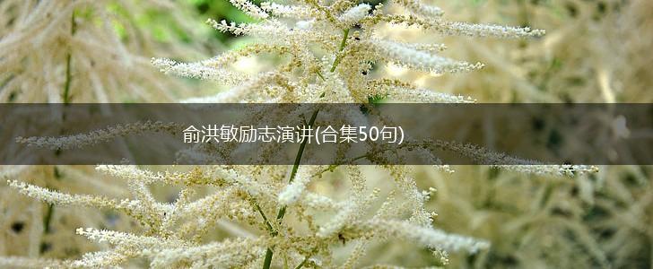 俞洪敏励志演讲(合集50句),第1张