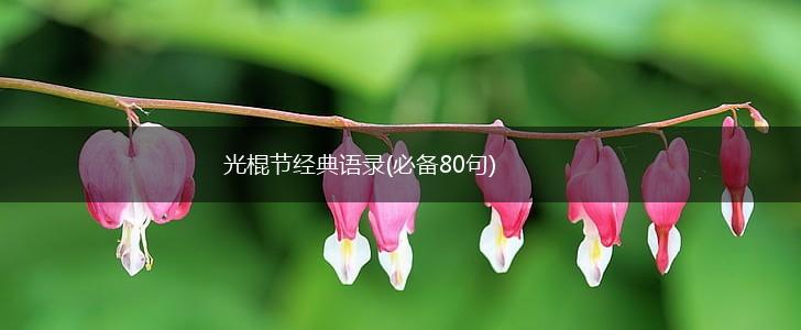 光棍节经典语录(必备80句),第1张