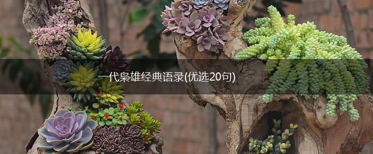 一代枭雄经典语录(优选20句),第1张
