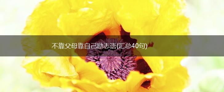 不靠父母靠自己励志语(汇总40句),第1张