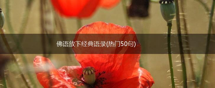 佛语放下经典语录(热门50句),第1张