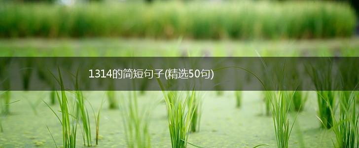 1314的简短句子(精选50句),第1张