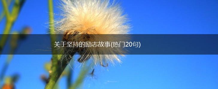 关于坚持的励志故事(热门20句),第1张