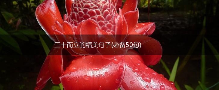 三十而立的精美句子(必备50句),第1张