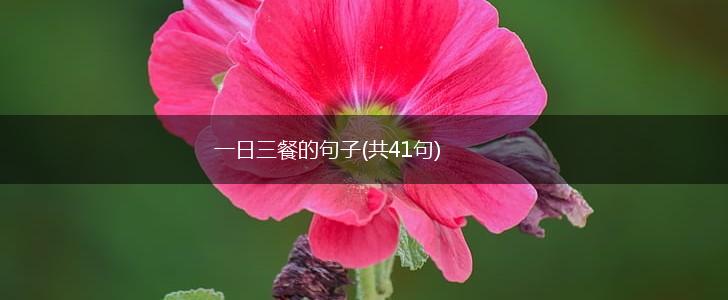 一日三餐的句子(共41句),第1张