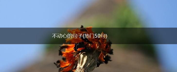 不动心的句子(热门50句),第1张