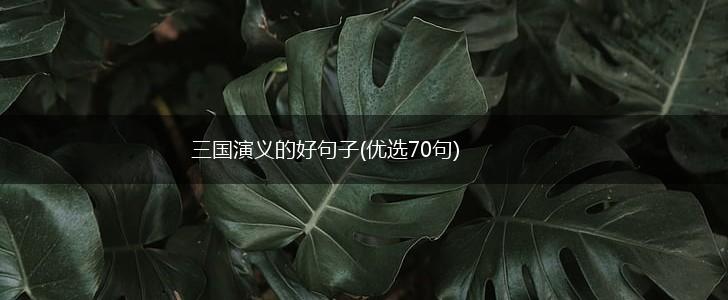 三国演义的好句子(优选70句),第1张