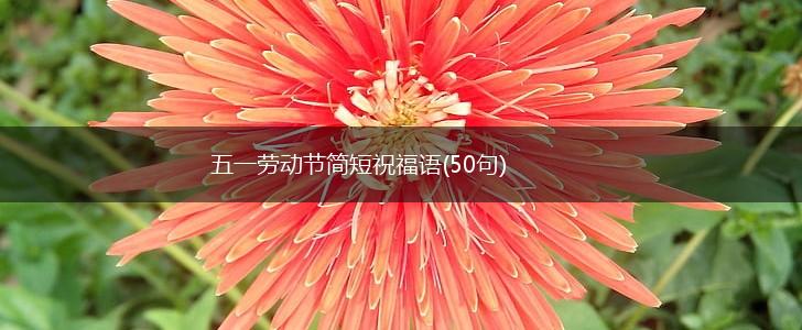五一劳动节简短祝福语(50句),第1张