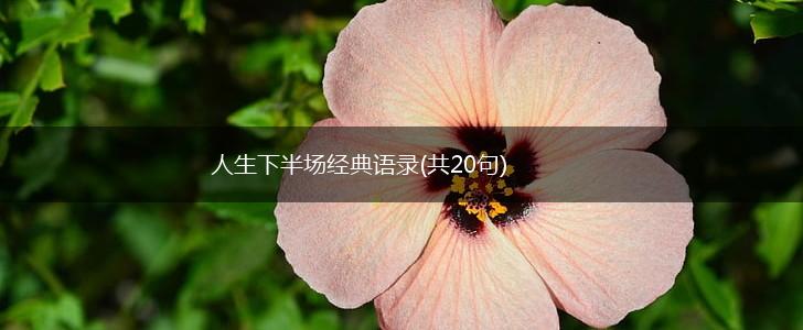 人生下半场经典语录(共20句),第1张