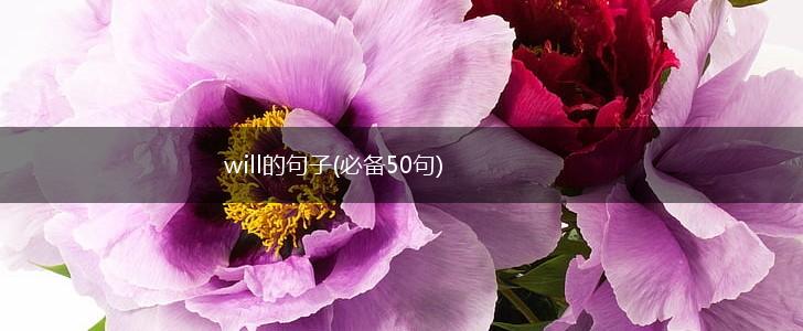 will的句子(必备50句),第1张