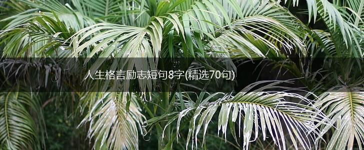 人生格言励志短句8字(精选70句),第1张