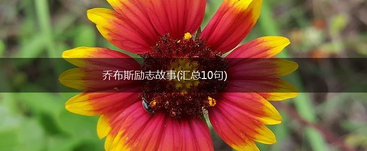 乔布斯励志故事(汇总10句),第1张