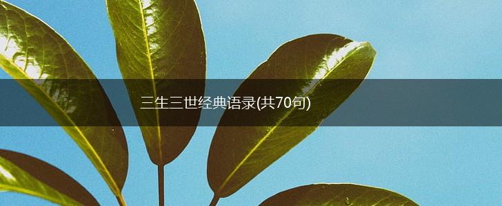 三生三世经典语录(共70句),第1张