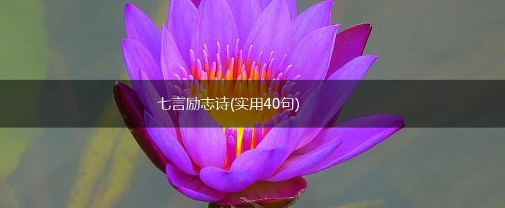 七言励志诗(实用40句),第1张