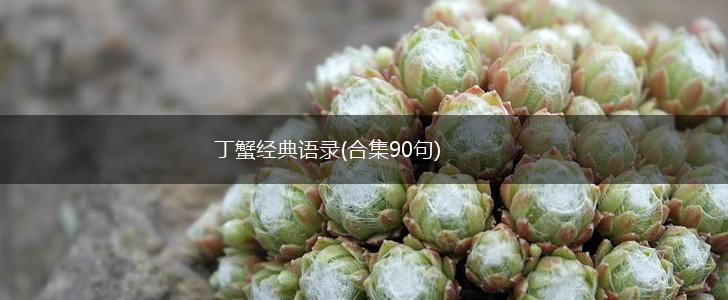 丁蟹经典语录(合集90句),第1张