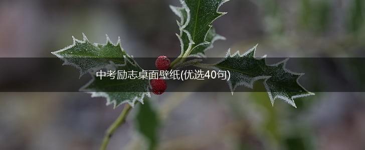 中考励志桌面壁纸(优选40句),第1张