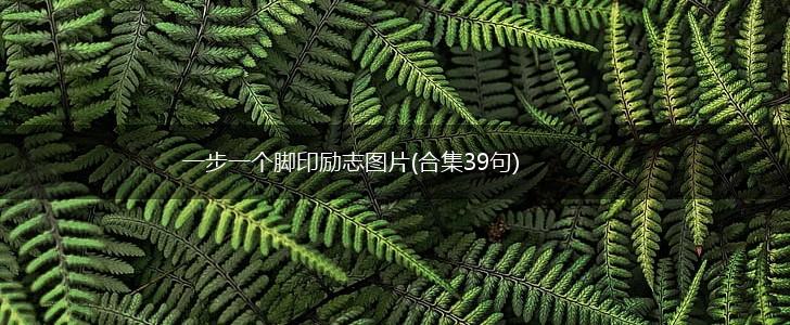 一步一个脚印励志图片(合集39句),第1张