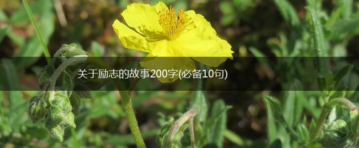 关于励志的故事200字(必备10句),第1张