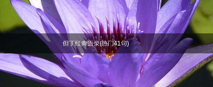 但丁经典语录(热门41句),第1张