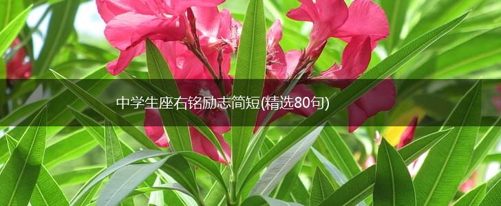 中学生座右铭励志简短(精选80句),第1张