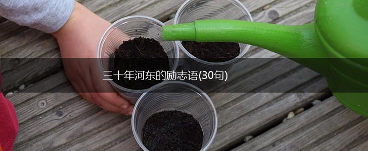 三十年河东的励志语(30句),第1张