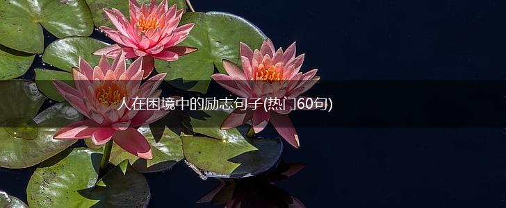 人在困境中的励志句子(热门60句),第1张