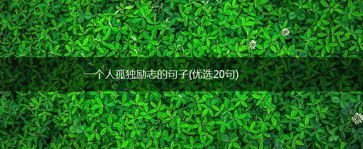 一个人孤独励志的句子(优选20句),第1张